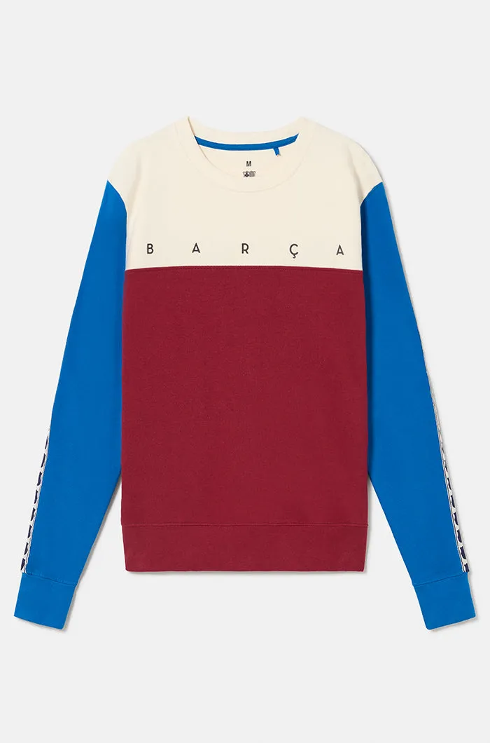 Bara Color-Block sweatshirt: Bold and Stylish Color-Blocked Sweatshirt for Men