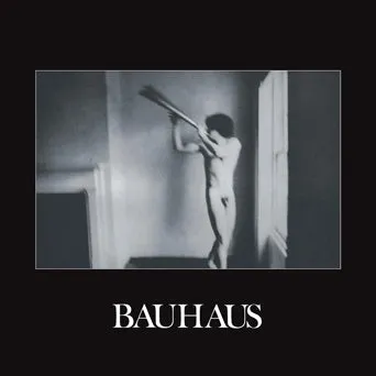 Bauhaus In The Flat Field