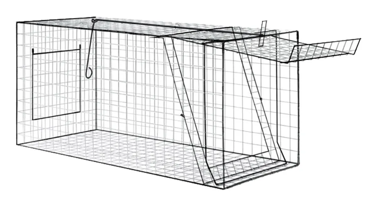 Bisley Fold Flat Fox Trap