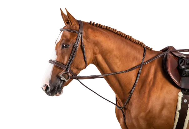 Dy'on Hunter 5/8 Inch Laced Reins US05R