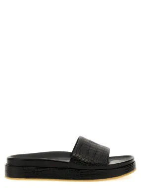 Giuseppe Zanotti    Giuseppe Zanotti 'Indi' Slides