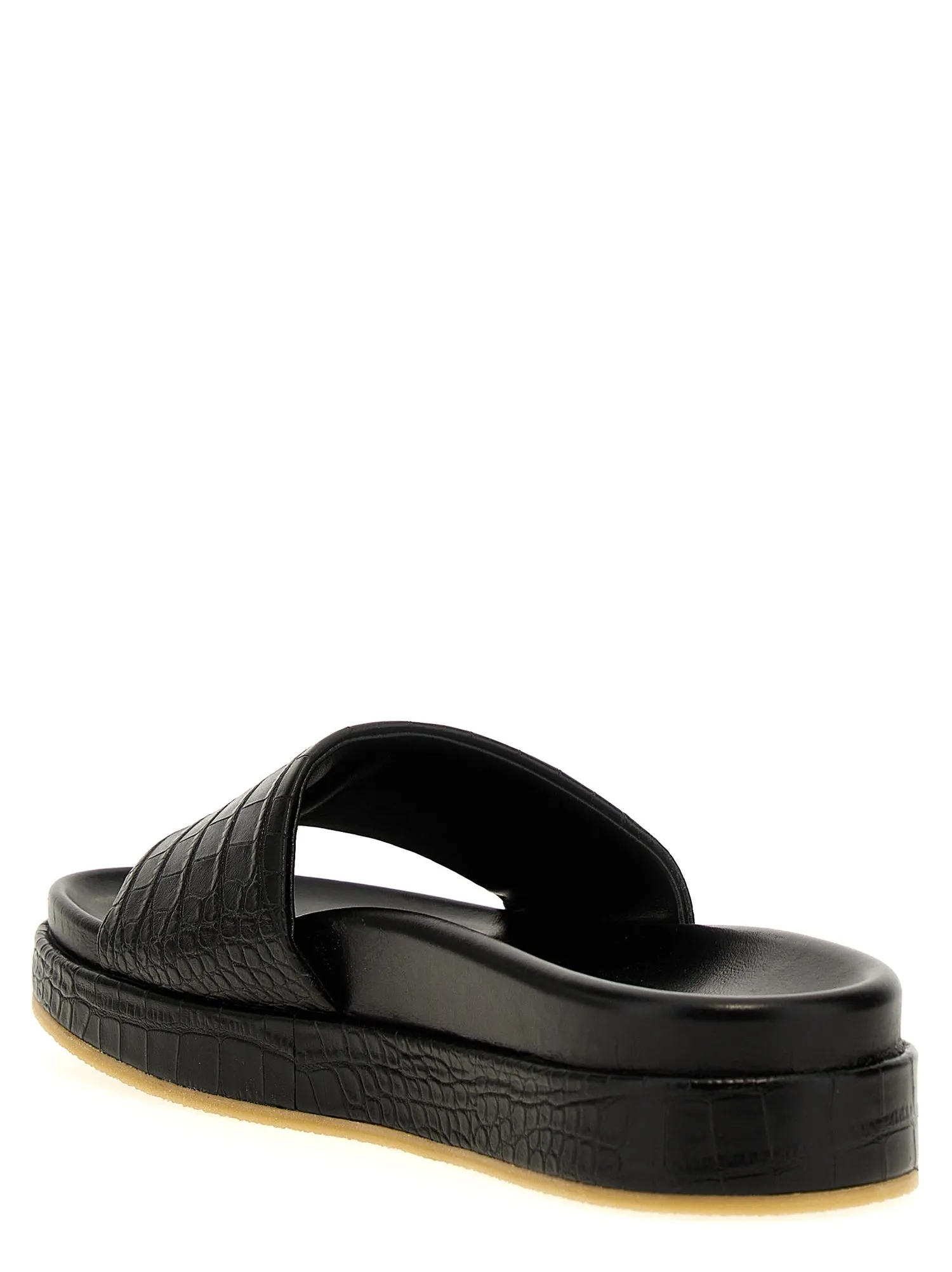 Giuseppe Zanotti    Giuseppe Zanotti 'Indi' Slides