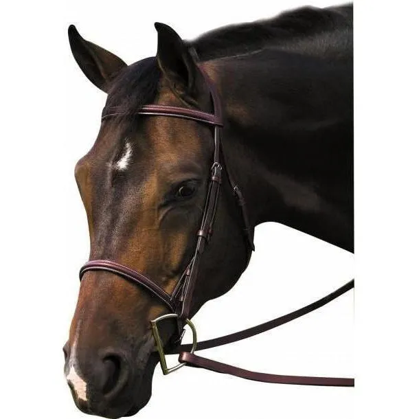 Henri de Rivel Pro Plain Raised Bridle Laced Reins