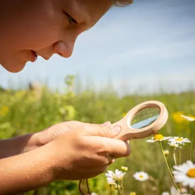 Huckleberry Dual Magnifying Glass