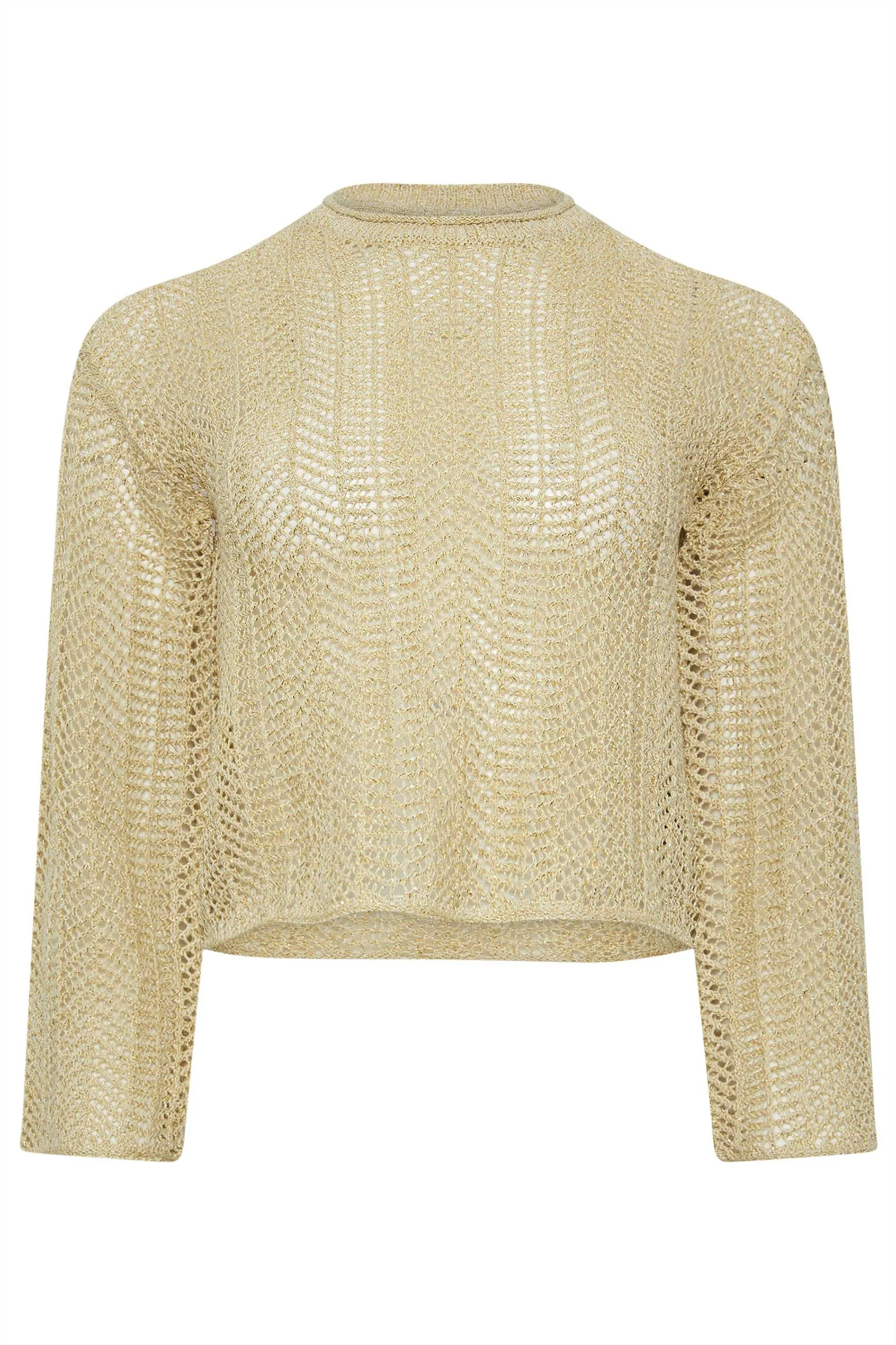 Petite Metallic Crochet Jumper for Women | Stylish Jumpers and Cardigans | PixieGirl