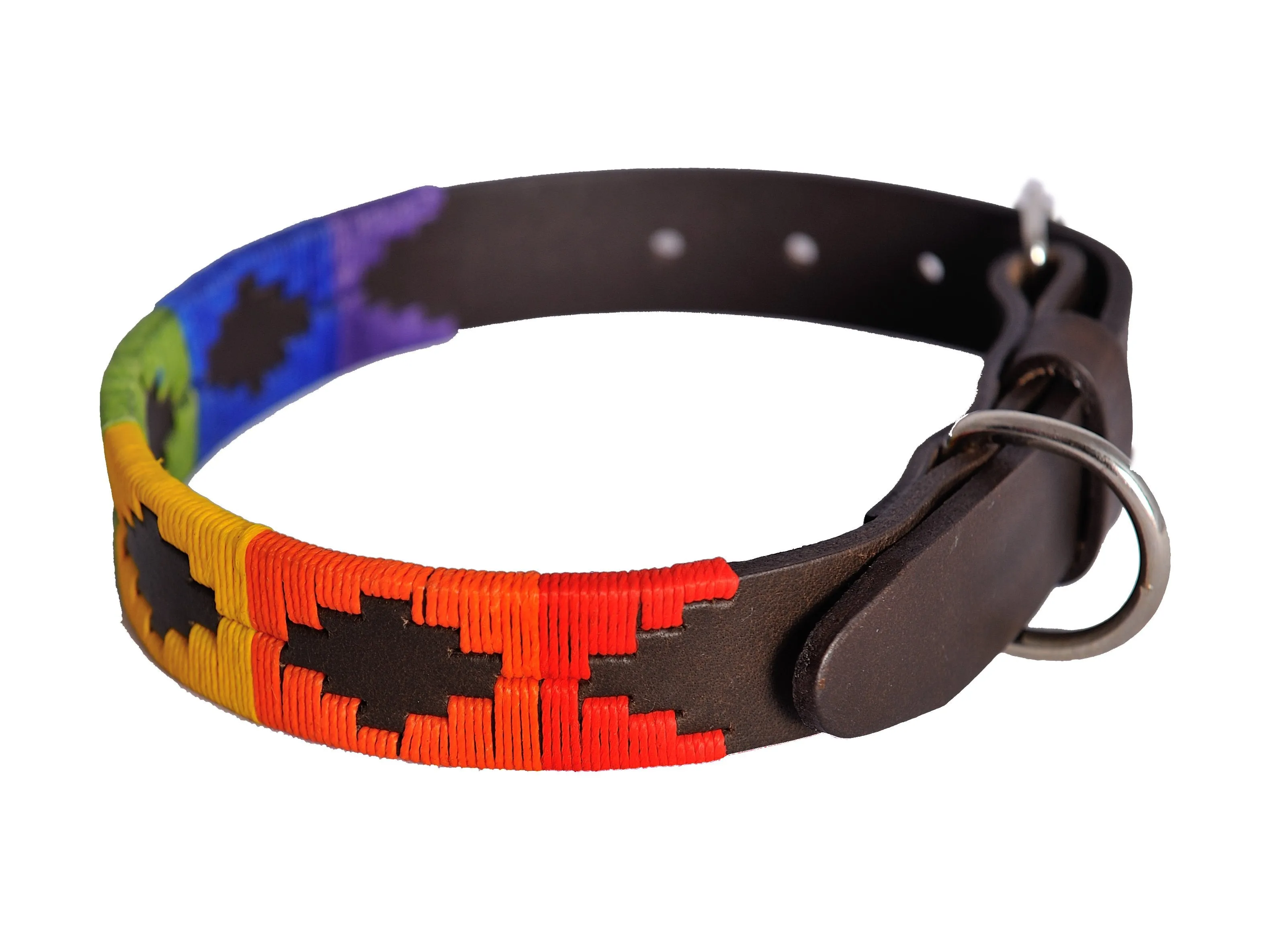 Polo Belt Style Dog Collar Rainbow