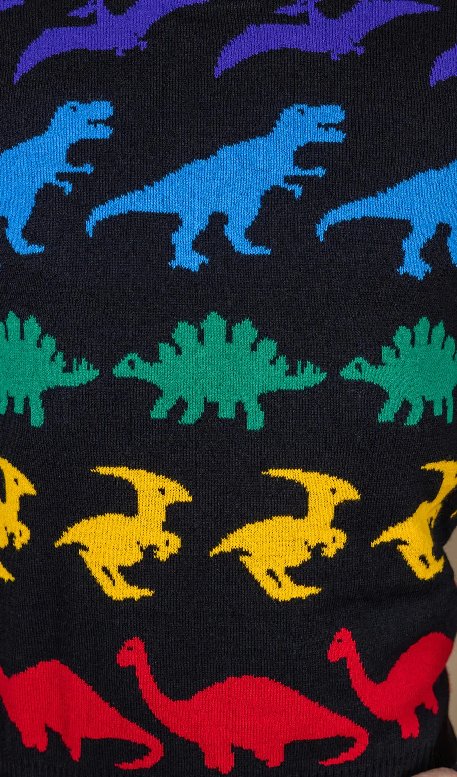 Colorful Dinosaur Sweater