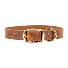 Shedrow K9 Bristol Flat Leather Collar