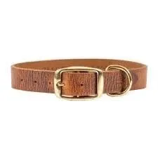 Shedrow K9 Bristol Flat Leather Collar