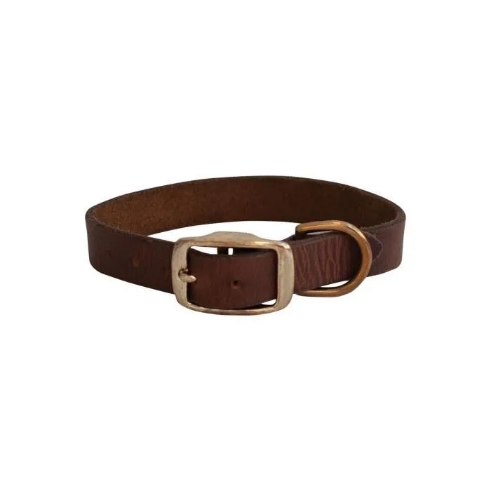 Shedrow K9 Bristol Flat Leather Collar